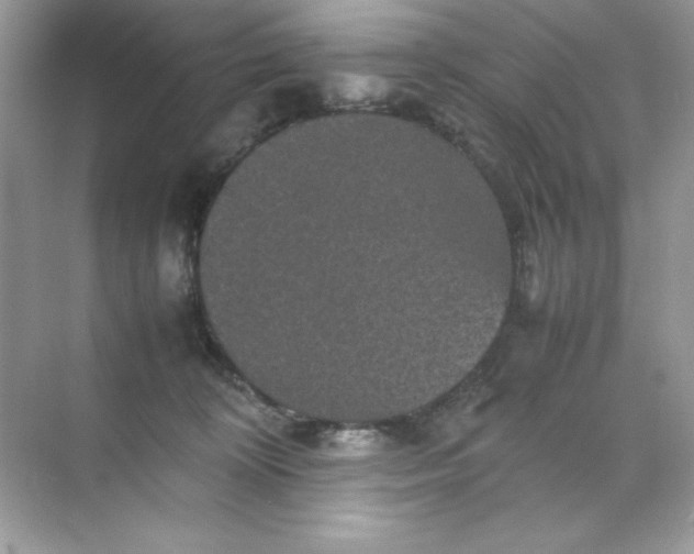 X0000070250324200606161918