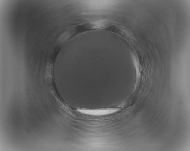 X0000070250325200606161918