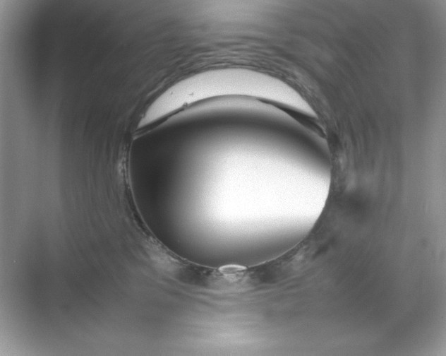 X0000070250329200606161918