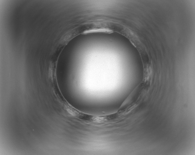 X0000070250333200606161918