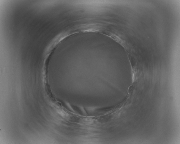 X0000070250339200606161917