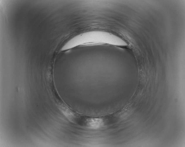 X0000070250361200606161918