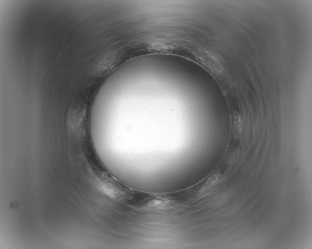 X0000070250364200606161918