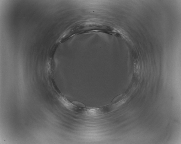 X0000070250382200606161918