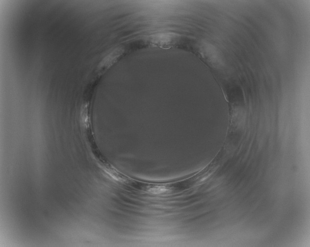 X0000070250383200606161918