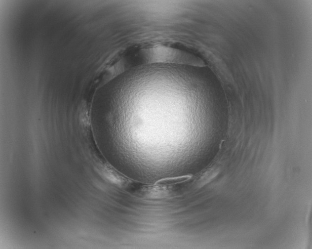 X0000070250384200606161918