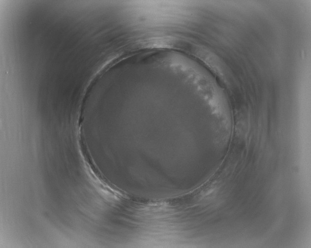 X0000070250386200606161917