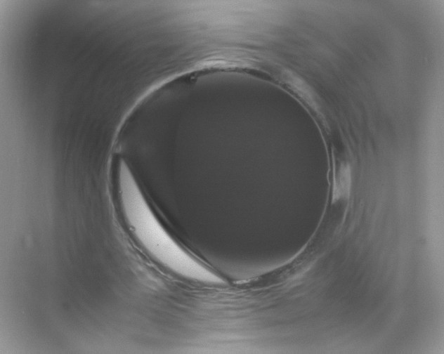 X0000070250387200606161917
