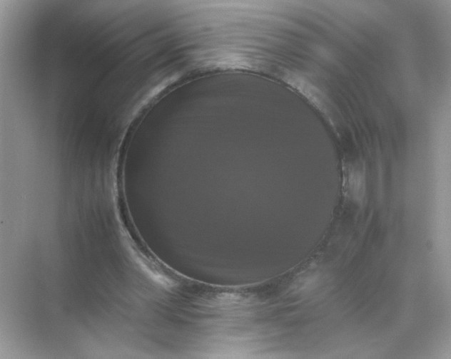 X0000070250390200606161917