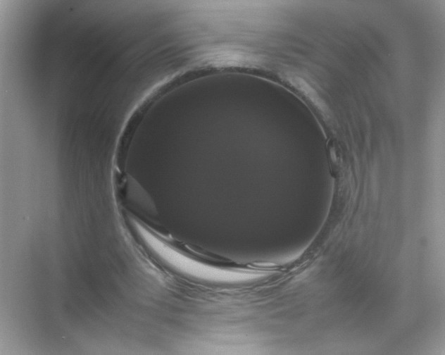 X0000070250391200606161917