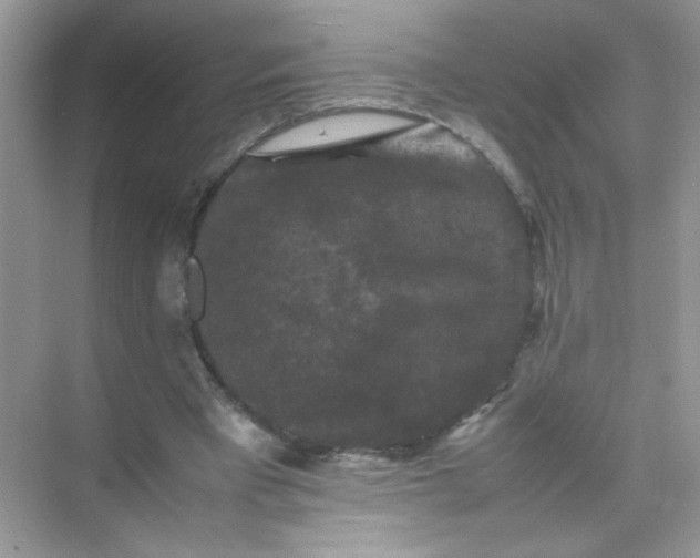 X0000070250393200606161917