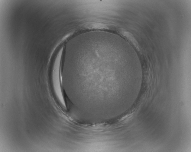 X0000070250395200606161917