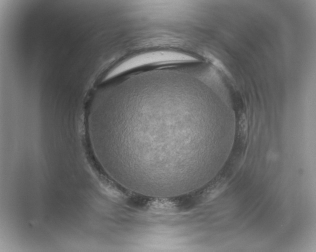 X0000070250403200606161917