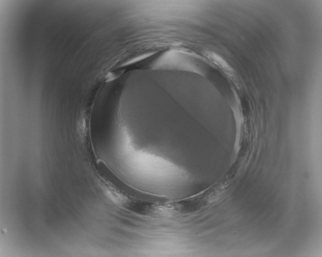 X0000070250405200606161917