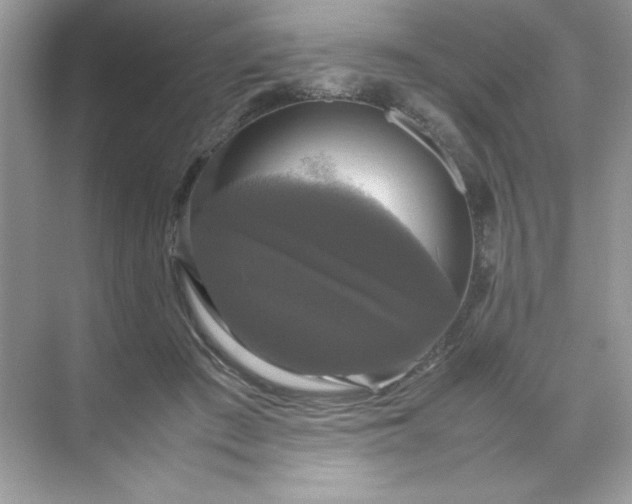 X0000070250409200606161917