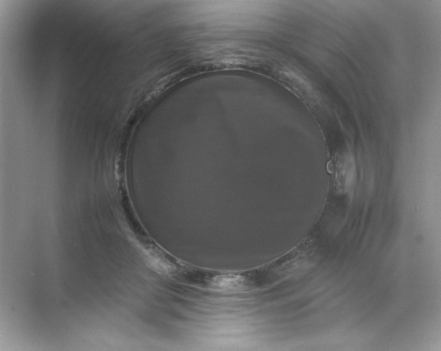 X0000070250410200606161917