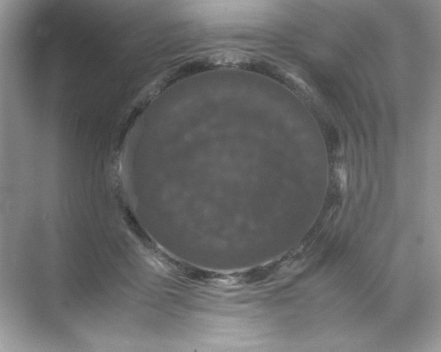 X0000070250411200606161917