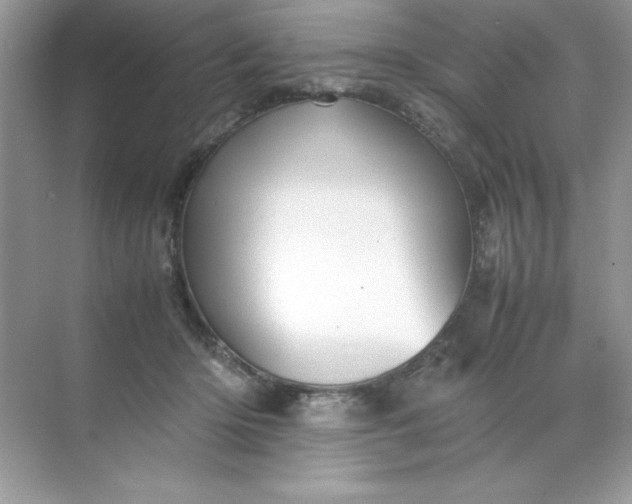 X0000070250414200606161917