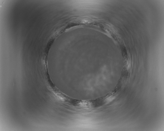 X0000070250415200606161917
