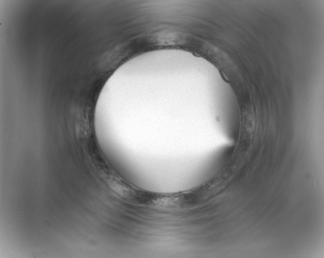 X0000070250422200606161917