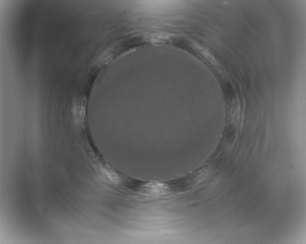 X0000070250427200606161917