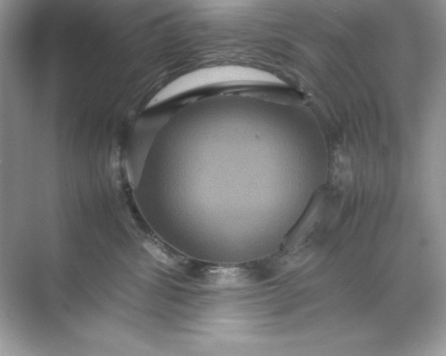 X0000070250428200606161917