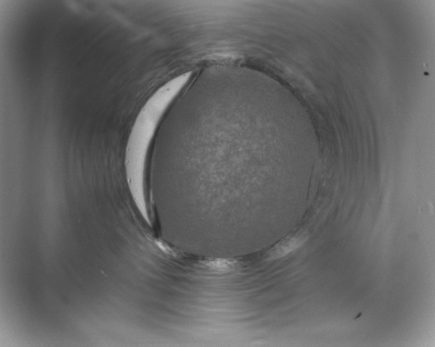 X0000070250432200606161917
