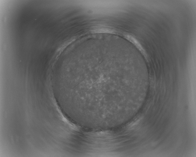 X0000070250433200606161916