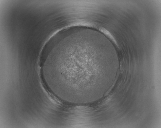 X0000070250436200606161916