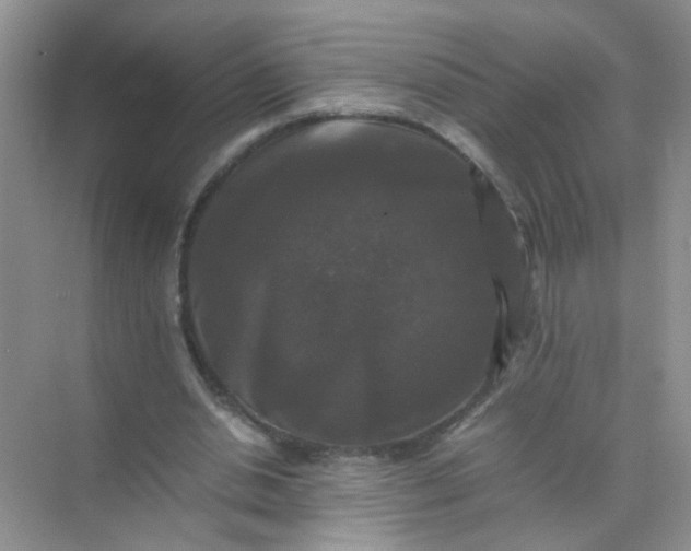 X0000070250438200606161916