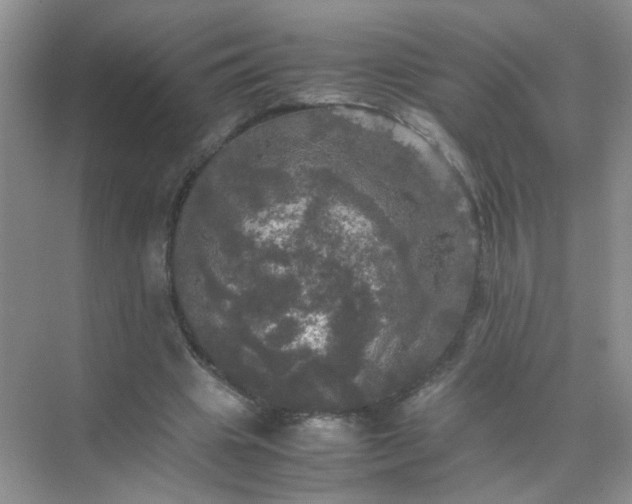 X0000070250441200606161916