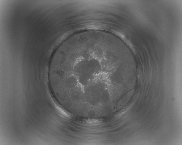 X0000070250445200606161916