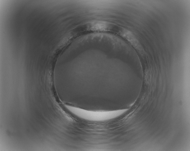 X0000070250449200606161916