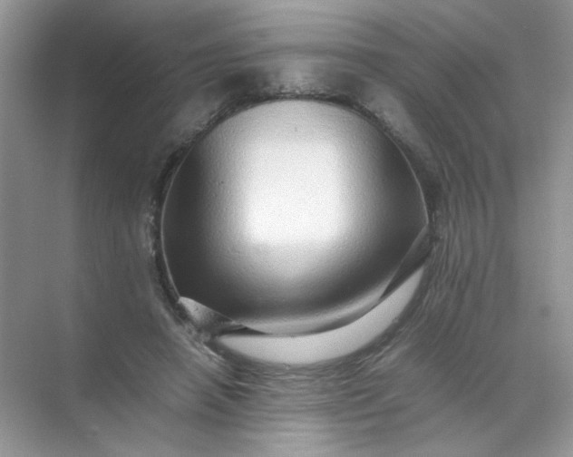 X0000070250450200606161916
