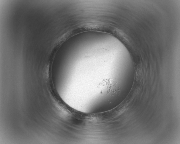 X0000070250454200606161916