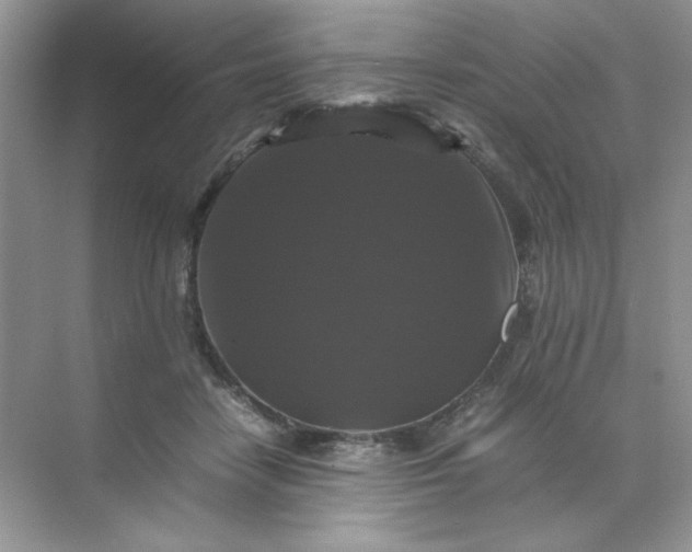 X0000070250458200606161916