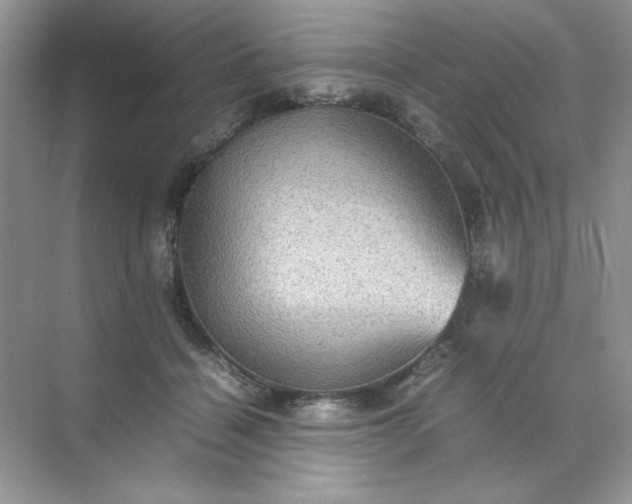 X0000070250460200606161916