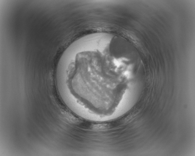 X0000070250461200606161916