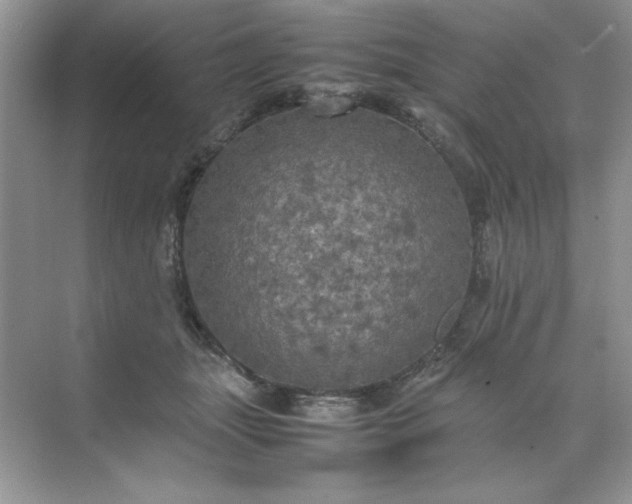 X0000070250463200606161916