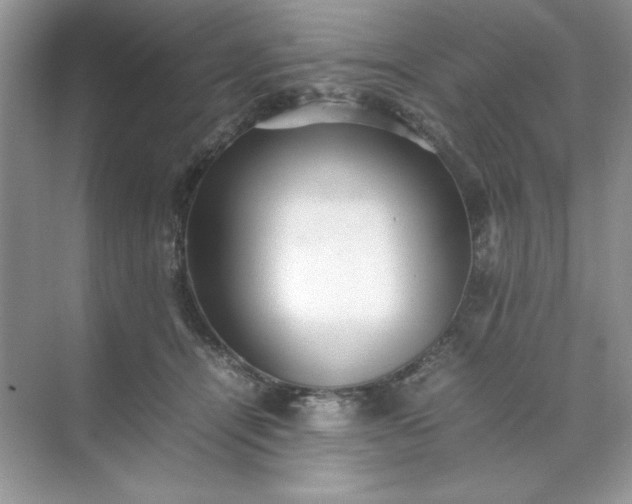 X0000070250464200606161916