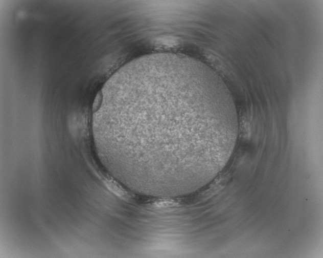 X0000070250468200606161916