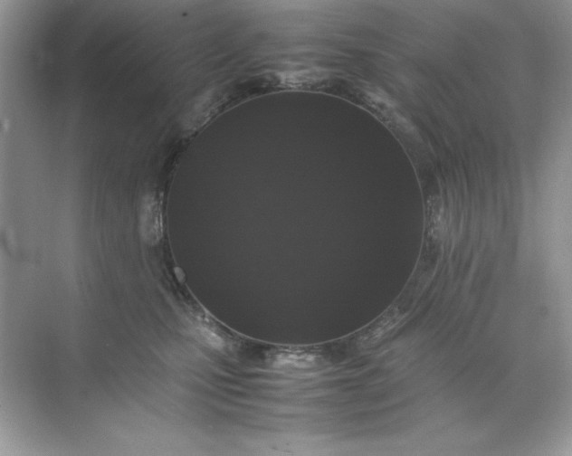 X0000070250471200606161916