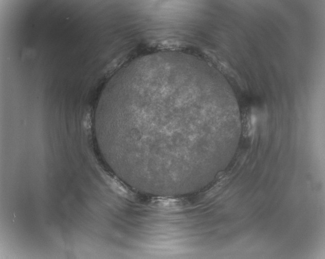 X0000070250472200606161916