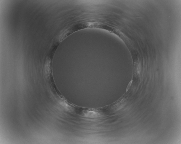 X0000070250475200606161917