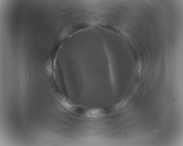 X0000070250479200606161917