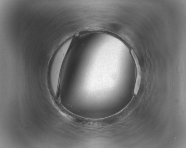 X0000070250485200606161916