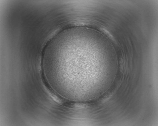 X0000070250490200606161916