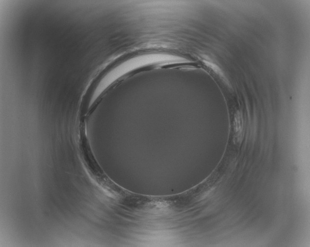 X0000070250492200606161916