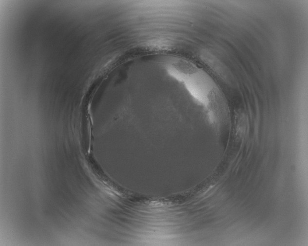 X0000070250494200606161916