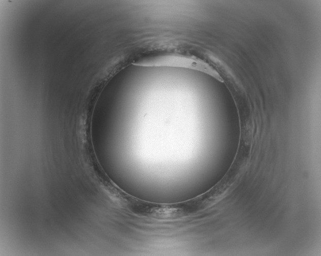 X0000070250497200606161916